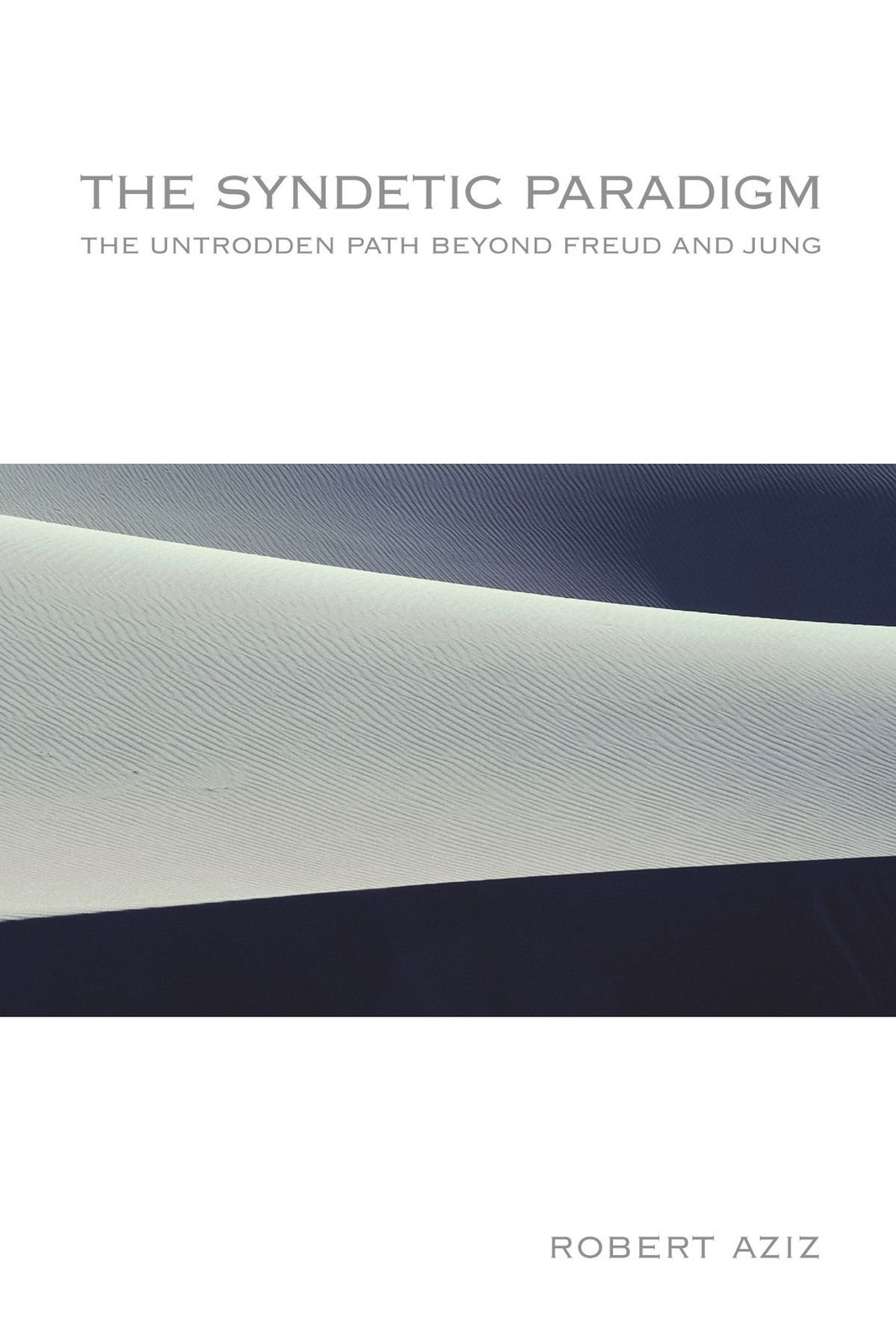 The Syndetic Paradigm: The Untrodden Path Beyond Freud and Jung (Transperson... The Syndetic Paradigm: The Untrodden Path Beyond Freud and Jung (Transperson...