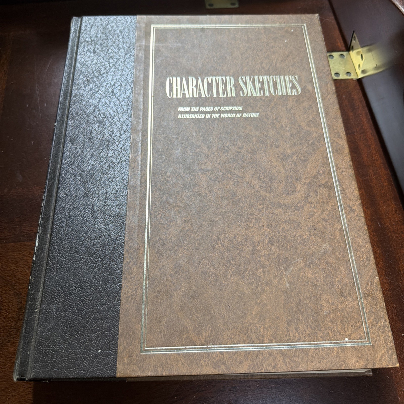 Character Sketches  From the Pages of Scripture Illustrated 1st edition