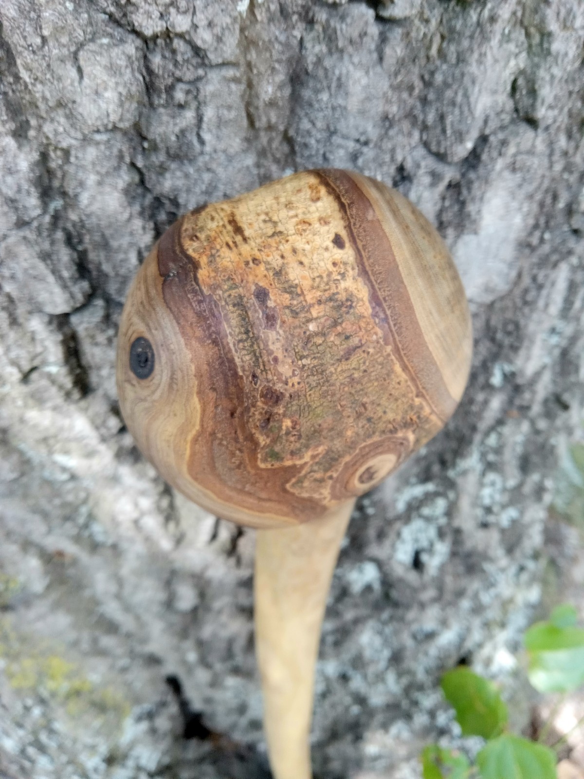 Gorgeous Handmade Natural Knot Ball Walking Cane Hefty  Jumbo Stick