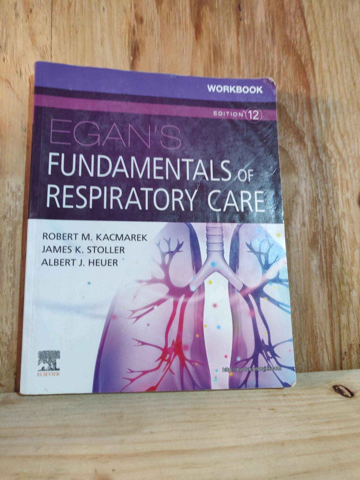 Egan\'s Fundamentals of Respiratory Care Workbook 12th Ed Elsevier PB