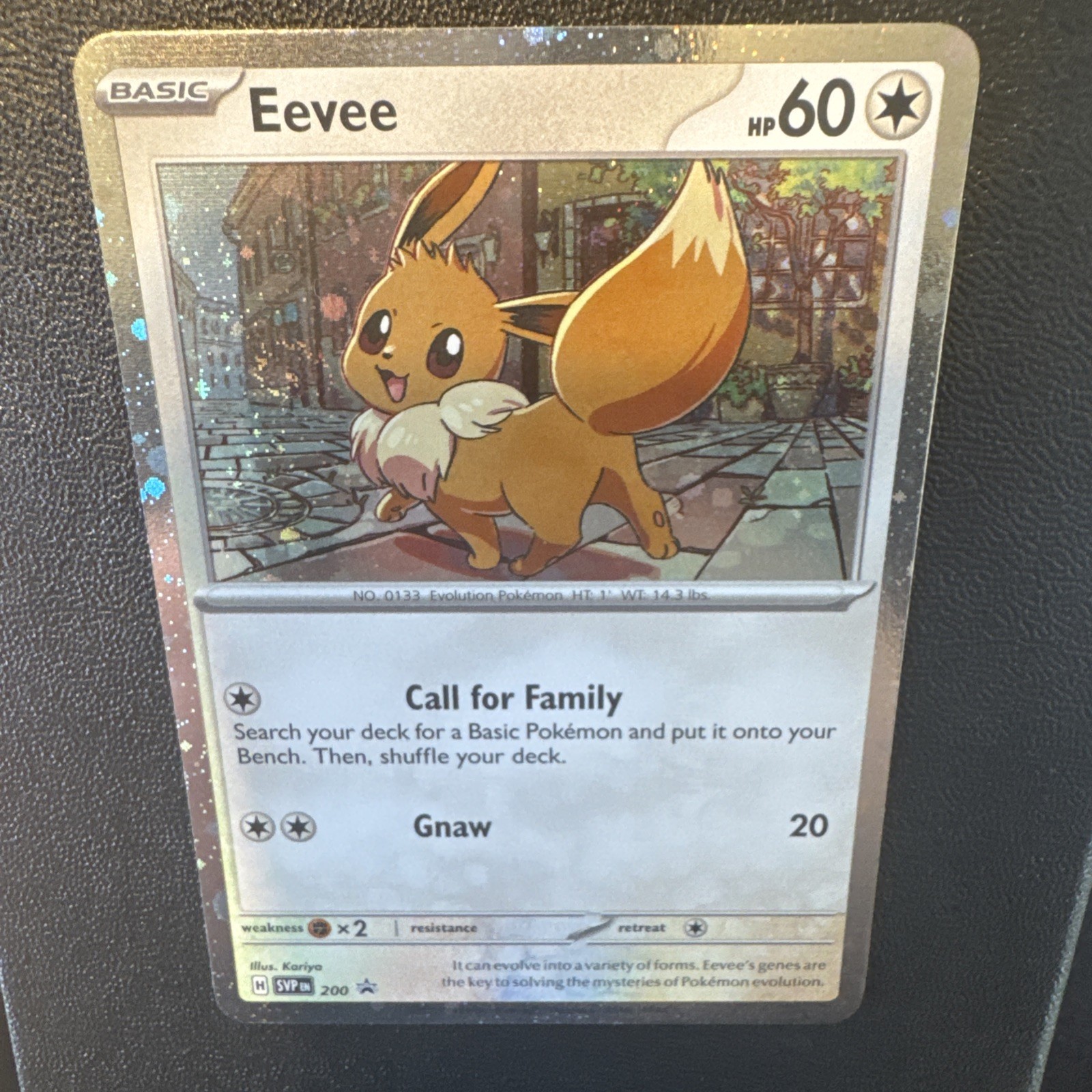 Pokemon TCG Eevee 1 SWIRL. SVP200 Scarlet & Violet Promo Holo English 60HP Gnaw Pokemon TCG Eevee 1 SWIRL. SVP200 Scarlet & Violet Promo Holo English 60HP Gnaw