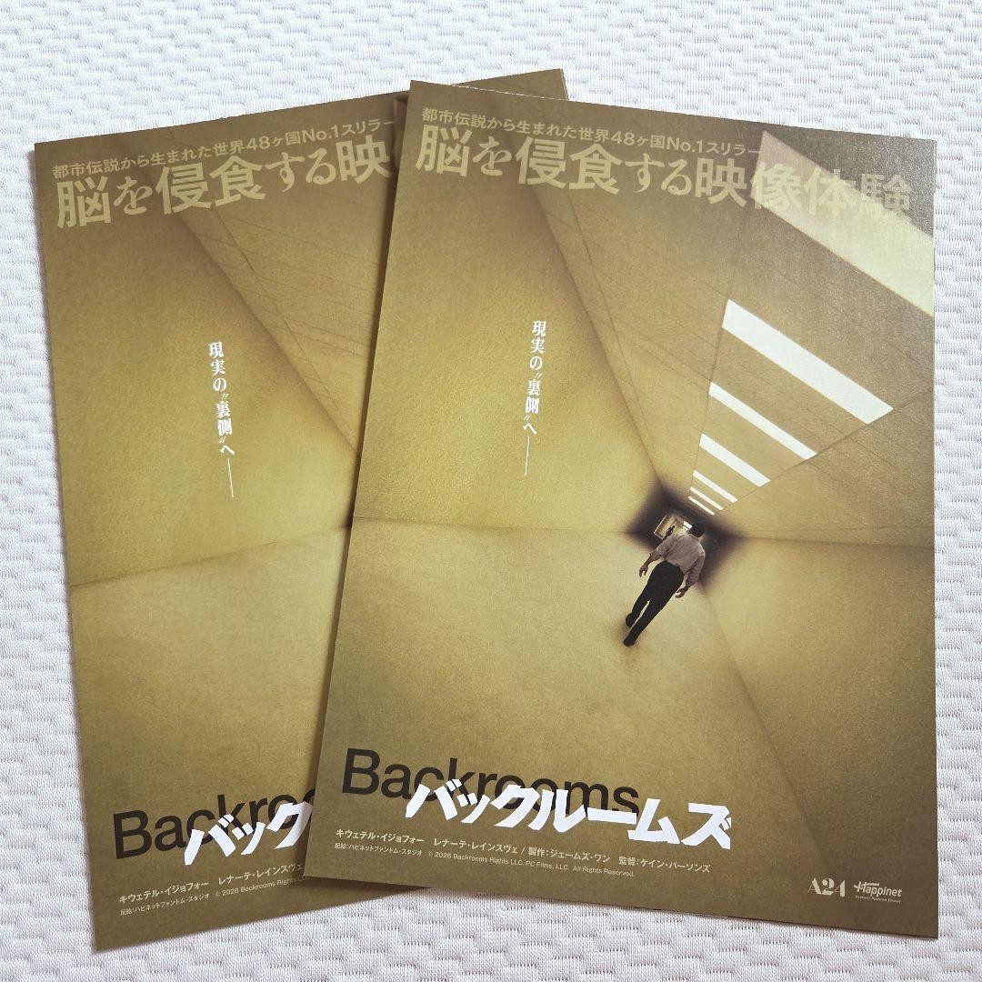 Backrooms Japan Movie flyer chirashi Renate Reinsve Kane Parsons Set of 2 #015