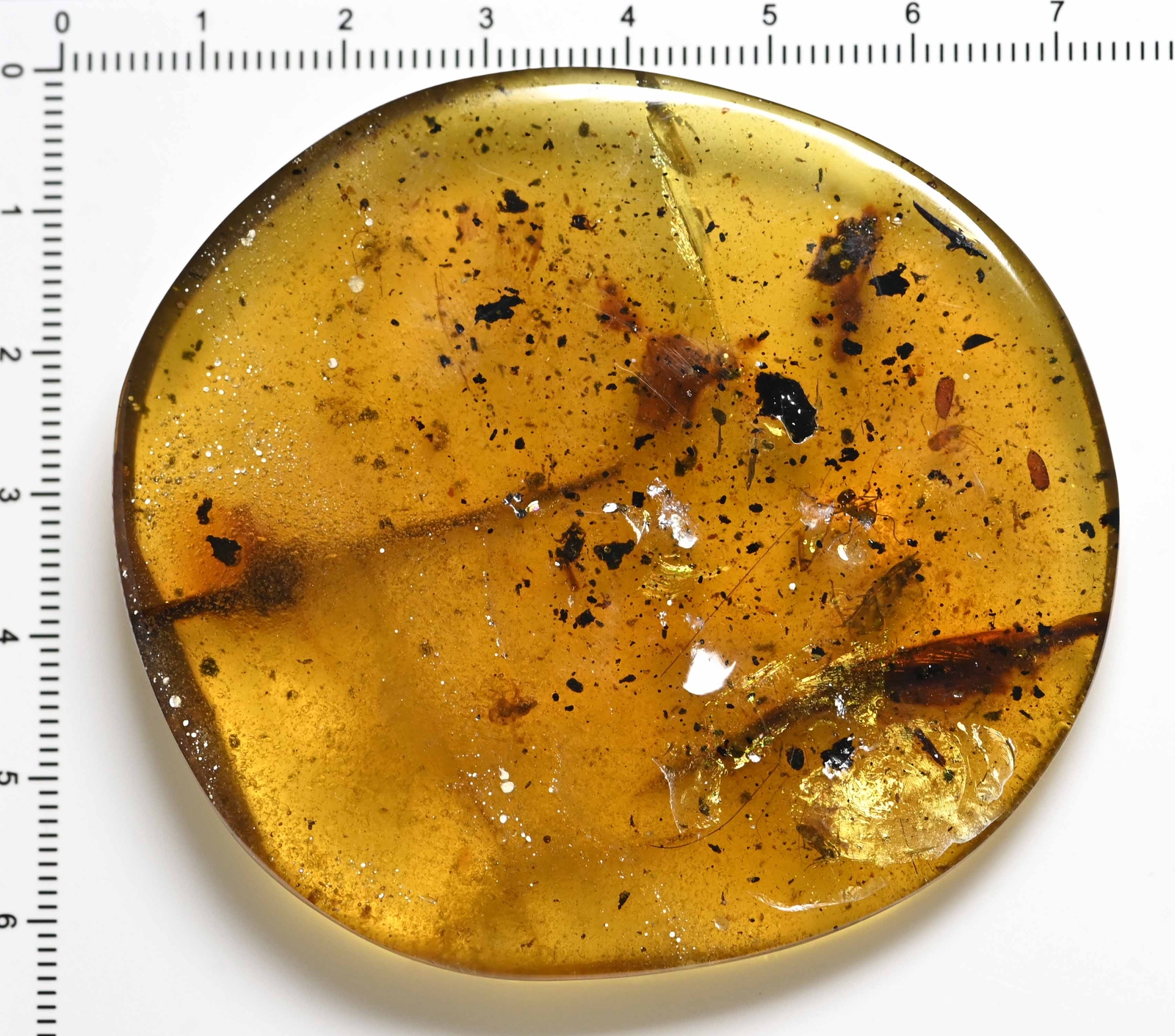 Huge piece of amber with ant and more, Fossil inclusion in Burmese Amber Huge piece of amber with ant and more, Fossil inclusion in Burmese Amber