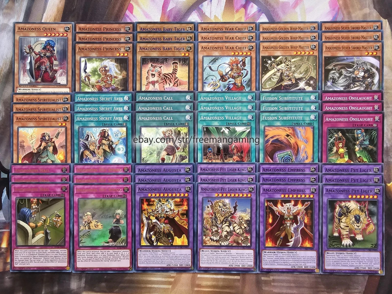 Yugioh Competitive Deluxe Amazoness Deck 52 Cards Queen Princess **HOT** + Bonus