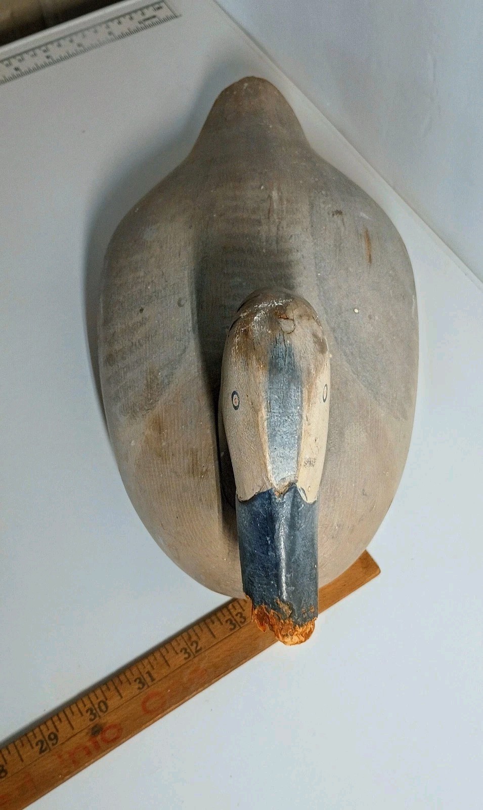 Paul Gibson Canvasback Hen Duck Decoy Havre De Grace Maryland Original 