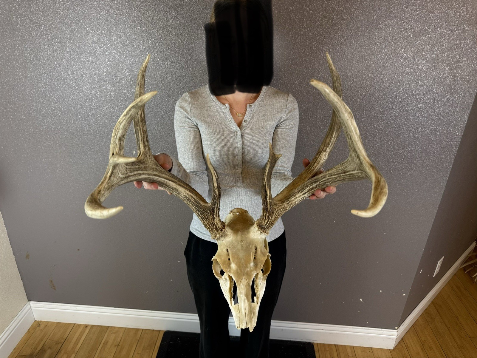 European REAL Skull Whitetail Deer Antlers Set Wild Idaho Horns Mount 4x5 FREAK European REAL Skull Whitetail Deer Antlers Set Wild Idaho Horns Mount 4x5 FREAK