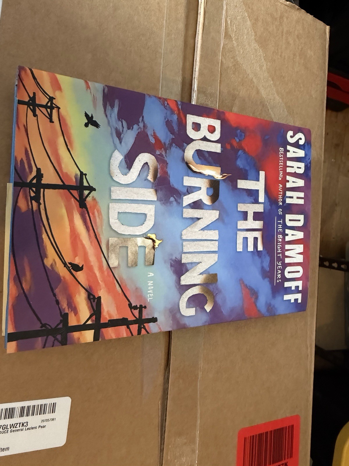 Brand New The Burning Side by Sarah Damoff (2026, HC Book) Brand New The Burning Side by Sarah Damoff (2026, HC Book)