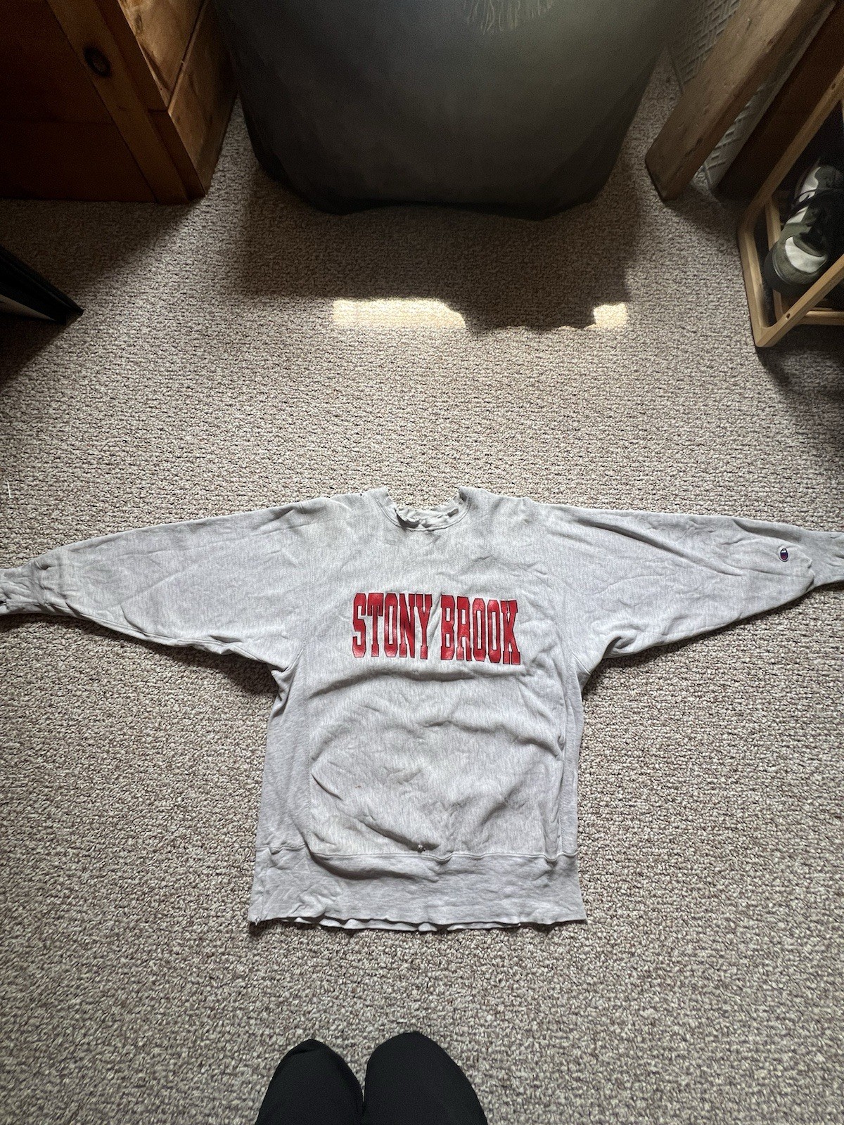 Champion Reverse Weave Stony Brook University Crewneck Sweatshirt 80s 90s Vtg XL