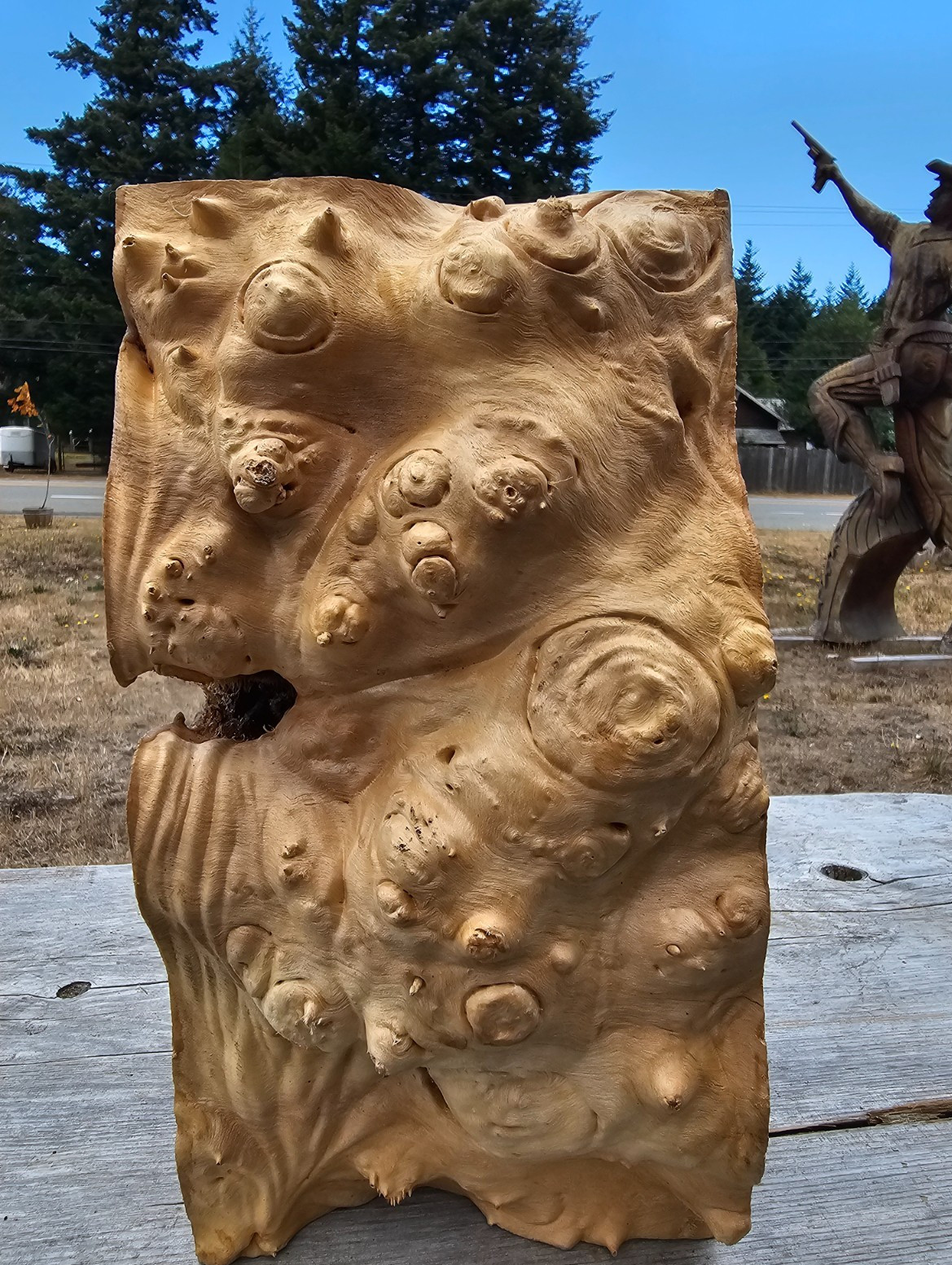 Live Edge Maple Wood Burl Block 3.4 BF