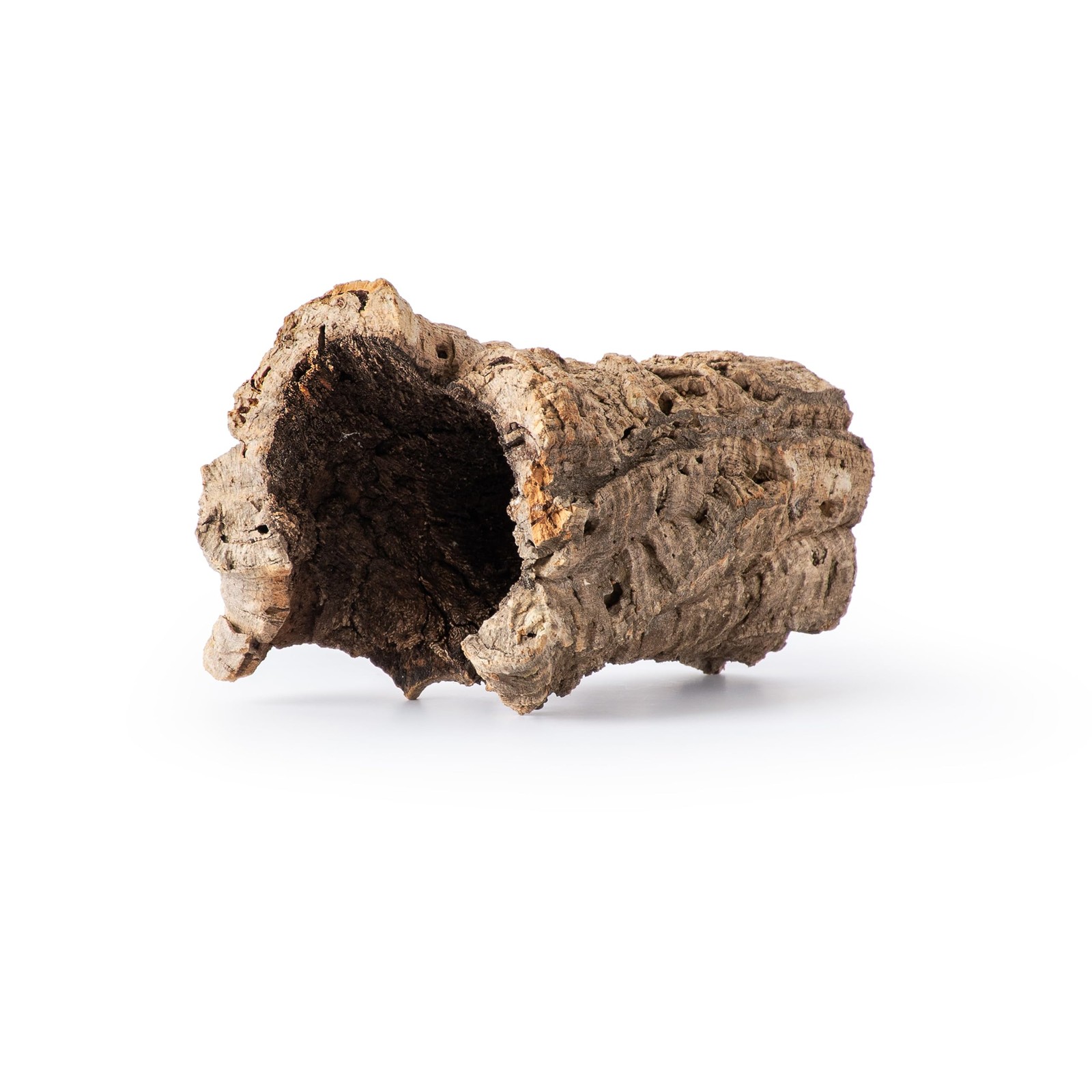 Galápagos (05505) Natural Cork Bark for Reptiles – Ideal for Bearded Dragons,...