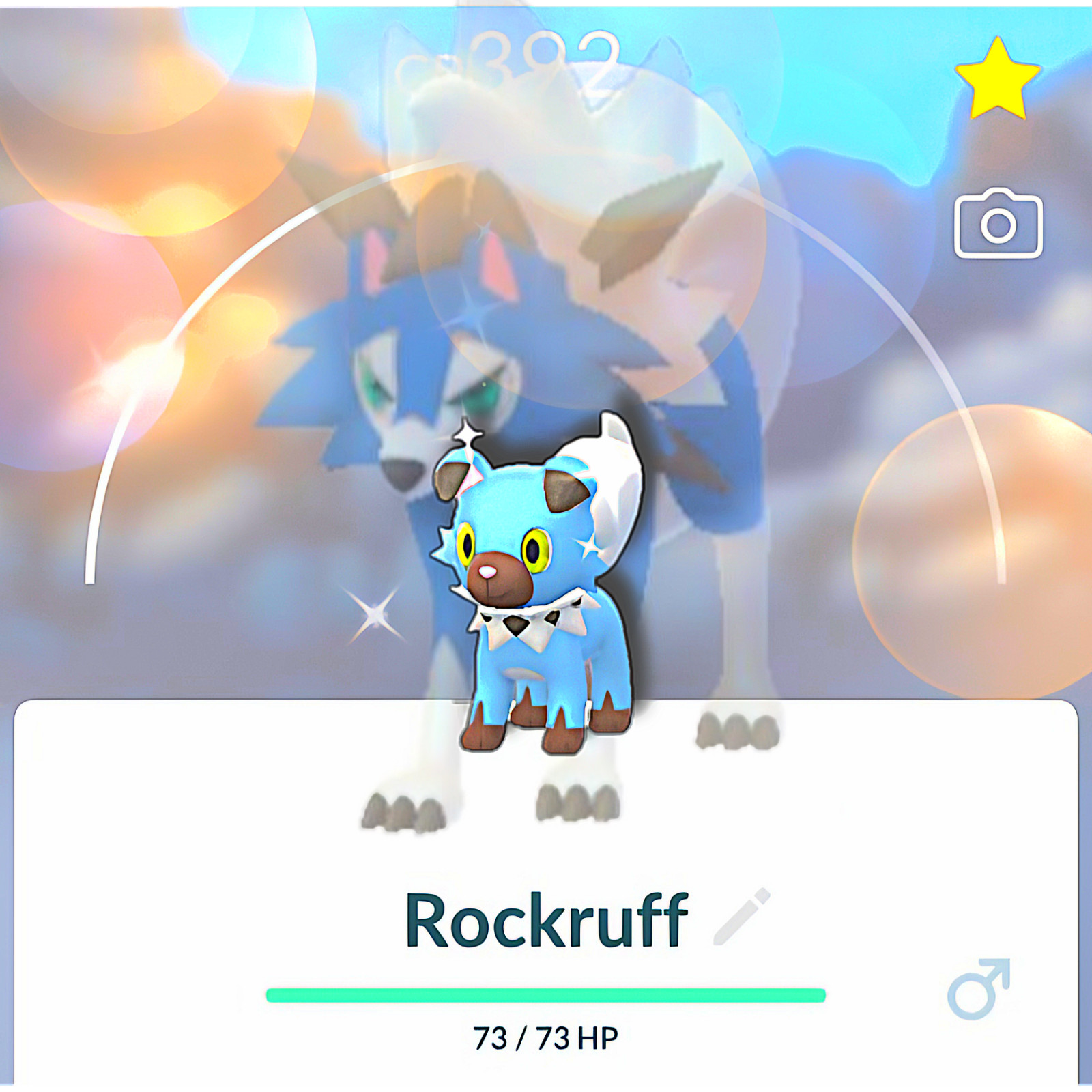 🌟 Shiny 🌟  Rockruff & Lycanroc (Dusk form) | Pokémon GO