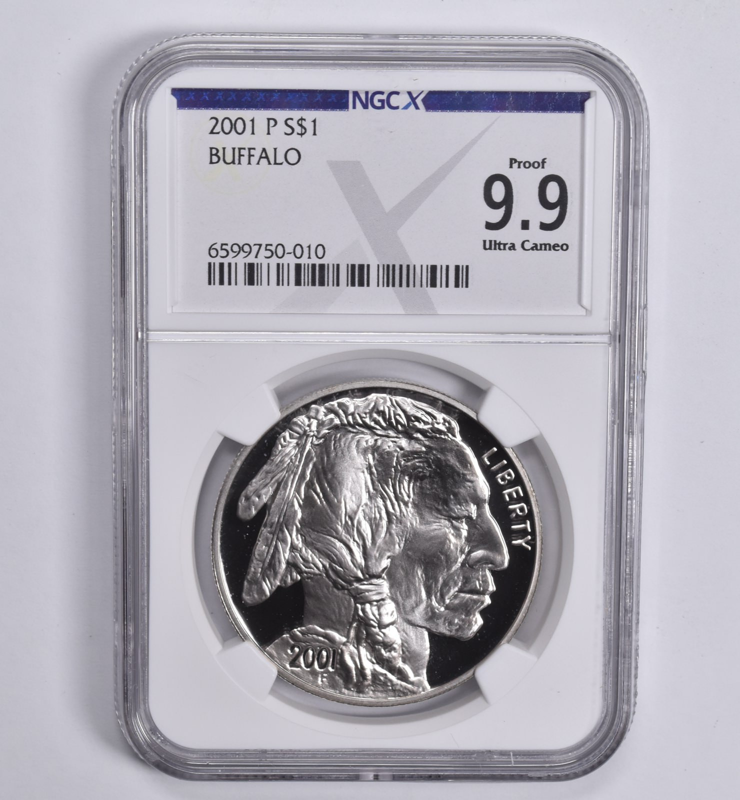 2001-P Buffalo Commemorative Dollar Proof 9.9 NGC X NGCX