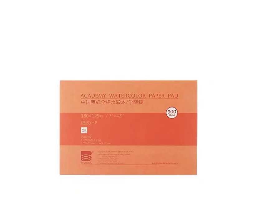 BAOHONG Academy Grade Watercolor Painting Paper, 100%Cotton Cold Press, 20 Sheet