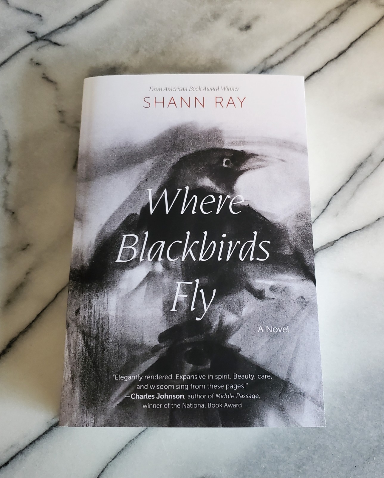 WHERE BLACKBIRDS FLY Novel By Shann Ray 2025 Paperback 1st Edition Unread Lk New