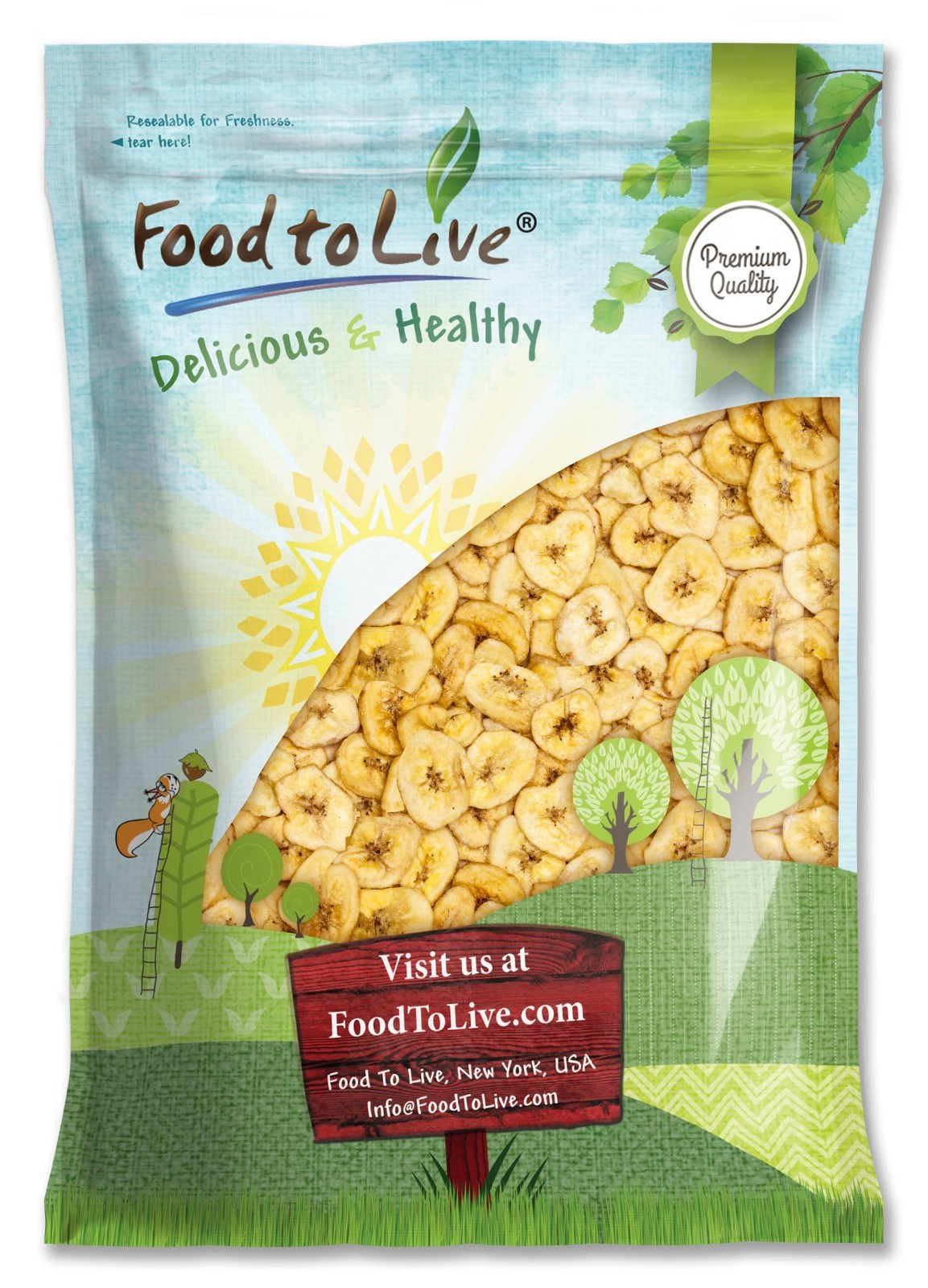 Food to Live Banana Chips — Sweetened, Unsulfured, Kosher, Vegan, Bulk