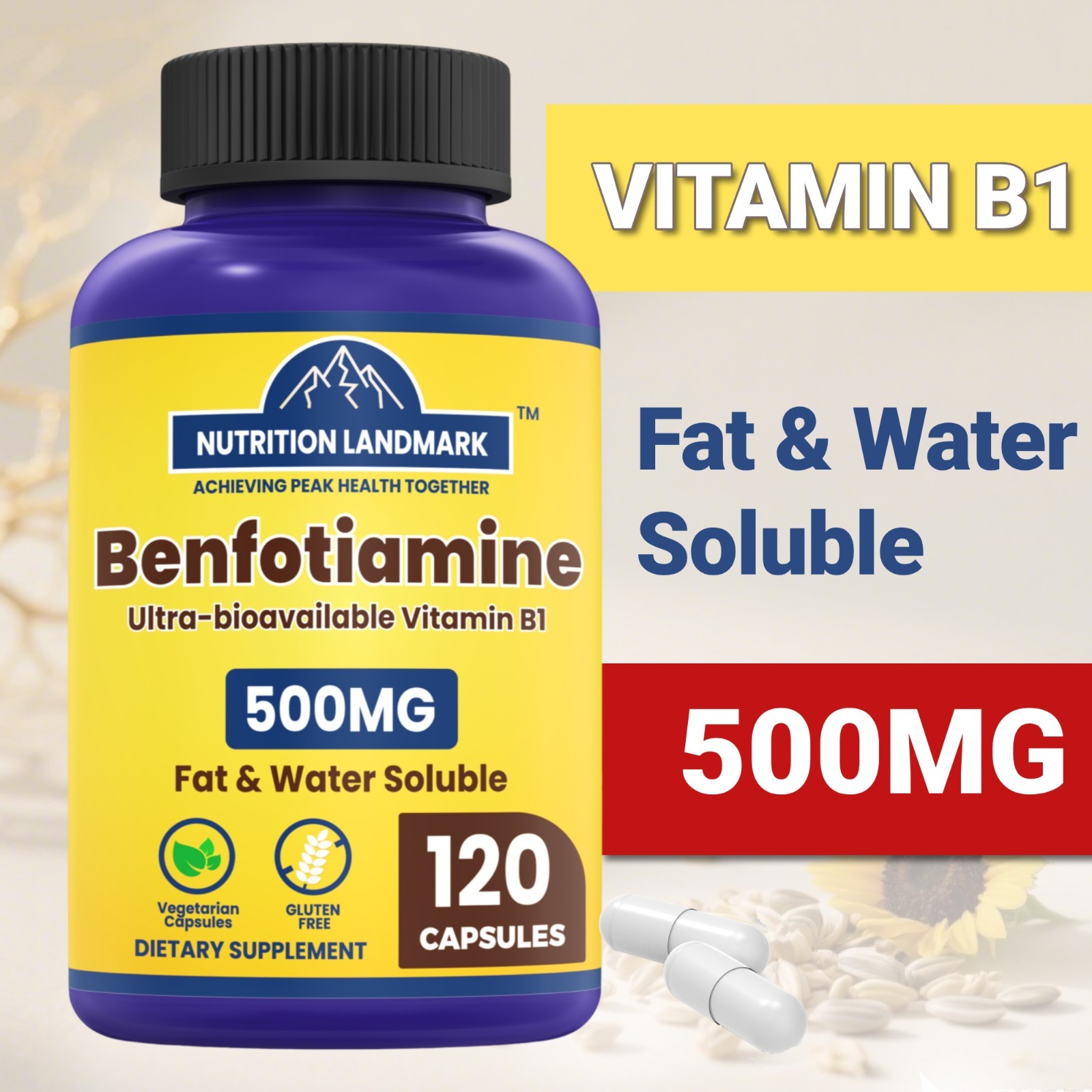 Mega Benfotiamine, 500 mg of benfotiamine, 20 mg of vitamin B1, high potency