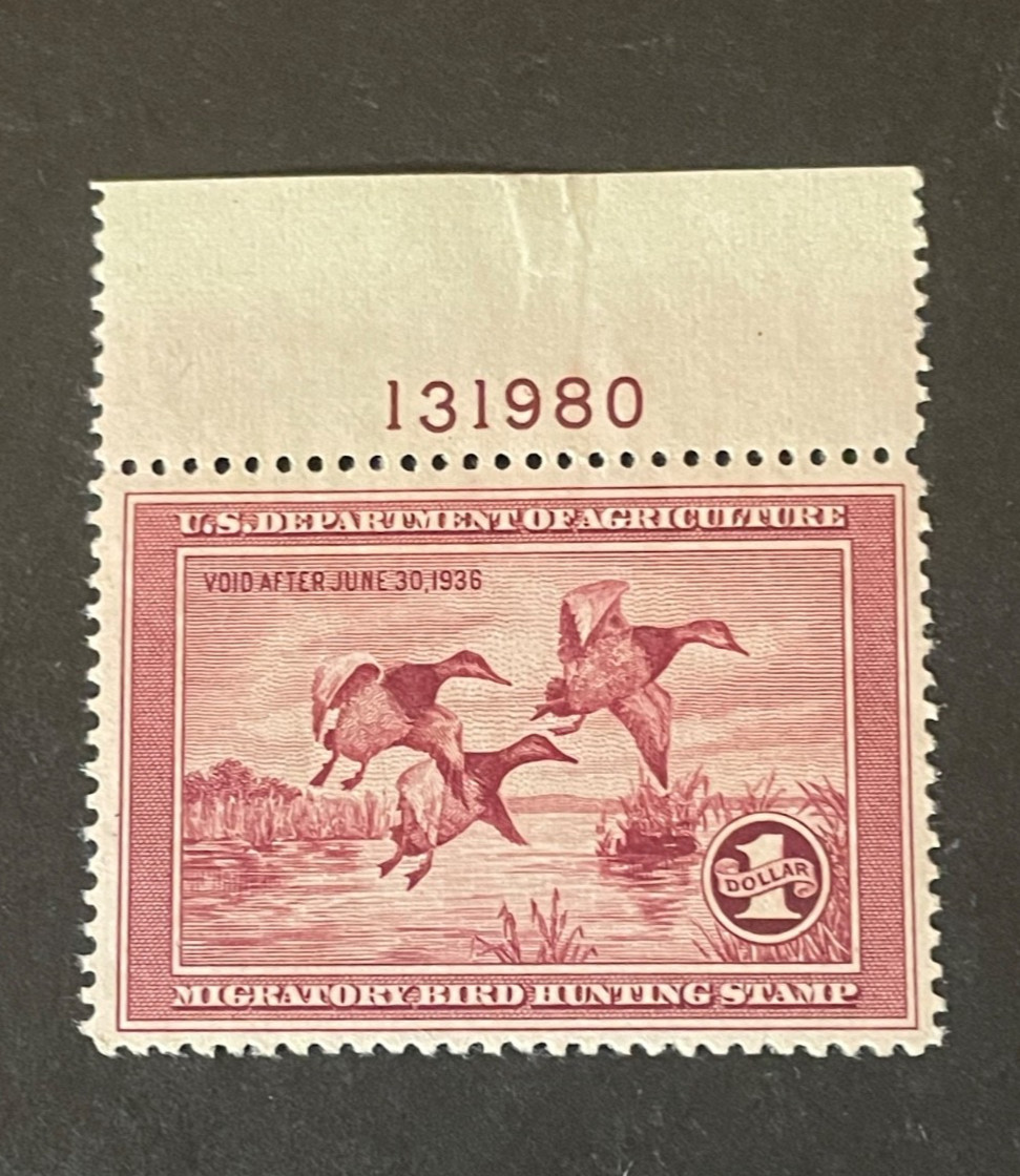 Stamps US Scott #RW2 never hinged