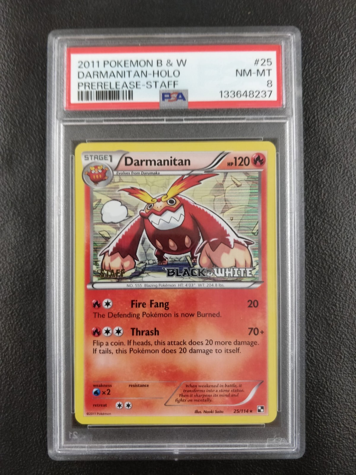2011 Pokemon Black White Darmanitan STAFF Prerelease Holo Pokémon Card PSA 8 2011 Pokemon Black White Darmanitan STAFF Prerelease Holo Pokémon Card PSA 8