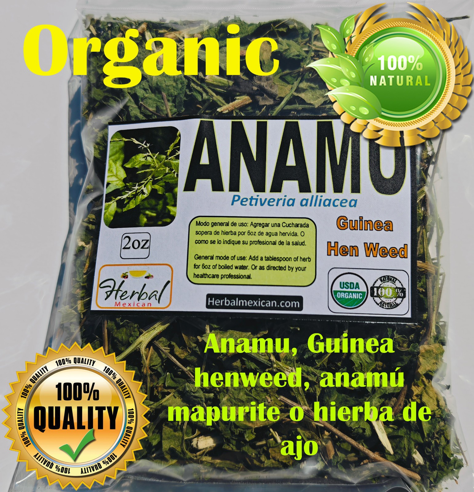 Anamu Guinea henweed (Petiveria alliacea)anamú mapurite o hierba de ajo