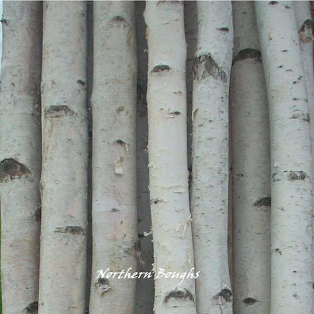 4 Thick White Birch Poles 7\' 4 Thick White Birch Poles 7\'