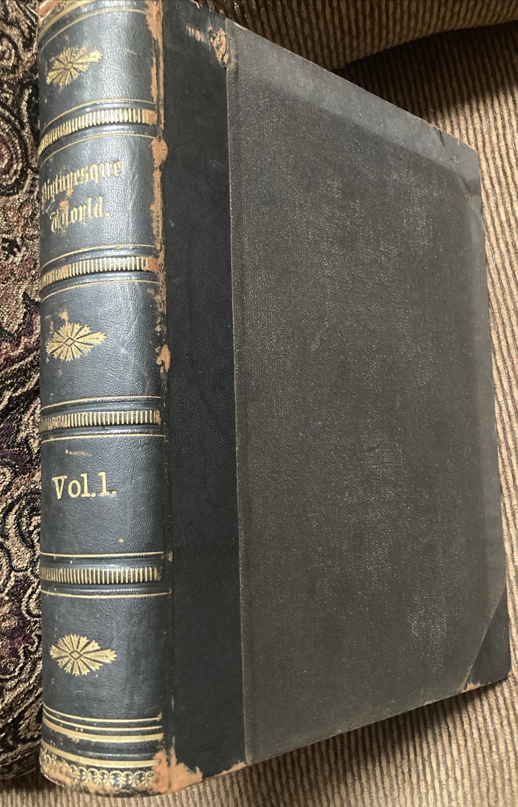 Leo De Colange / Picturesque World or Scenes in Many Lands vol 1 1878 1st ed