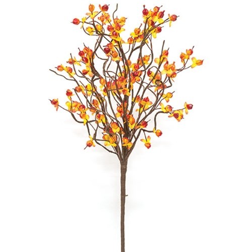 New Primitive Farmhouse RUSTIC FALL BITTERSWEET STEM Pick Bush 18 New Primitive Farmhouse RUSTIC FALL BITTERSWEET STEM Pick Bush 18