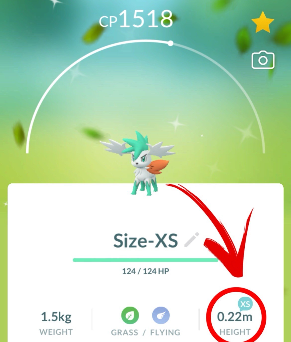 ✨ Rare Shiny Shaymin Pokemon ✨ Sky form - Custom OT - GO to Home (Size - XS)