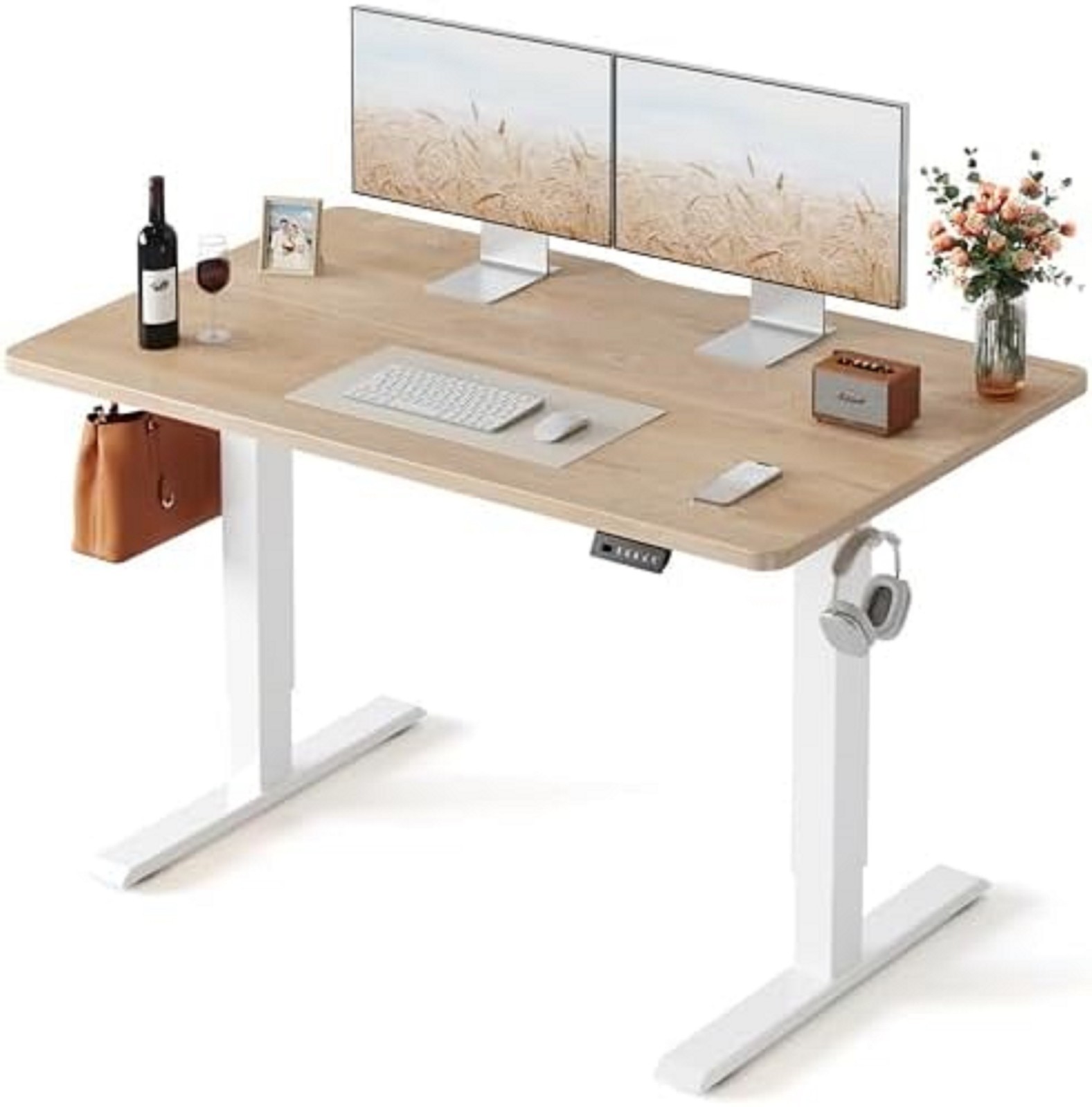 FLEXISPOT EN1 One-Piece Standing Desk, Electric Adjustable with Memory Presets,