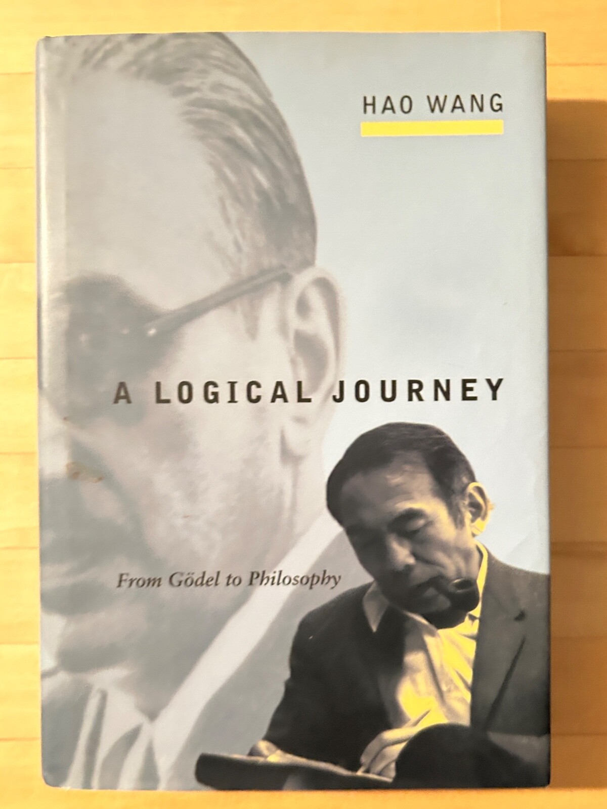 A Logical Journey: From Gödel to Philosophy. Wang. 1996. HCDJ.