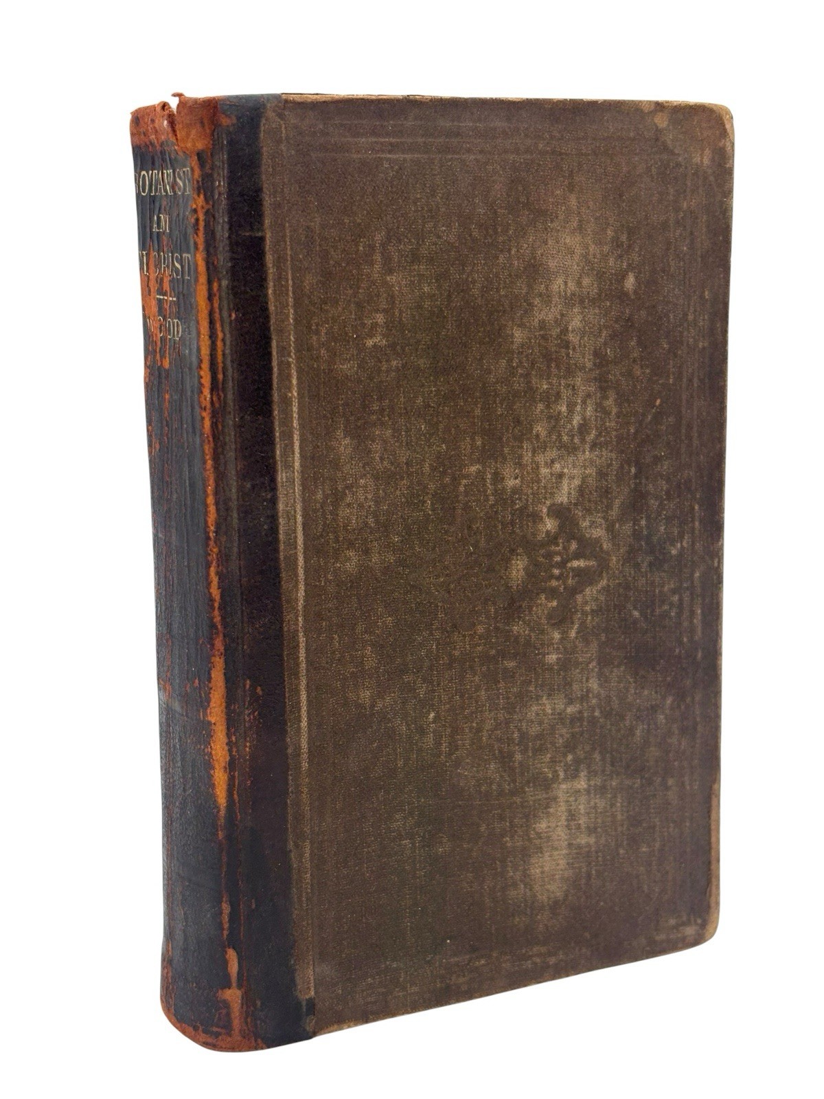Antique 1875 American Botanist and Florist Alphonso Wood Illustrated Botany
