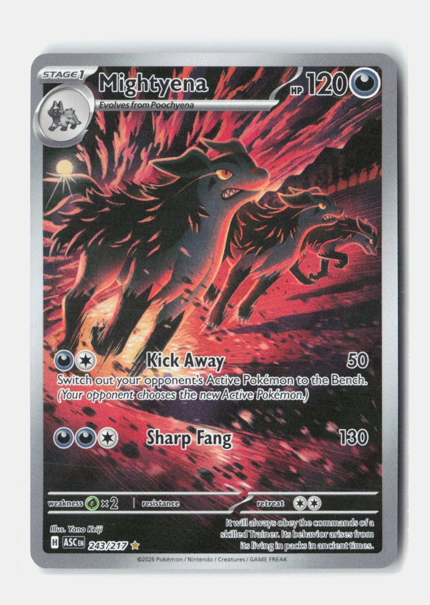 Mightyena Holofoil [ASC- 243/217]