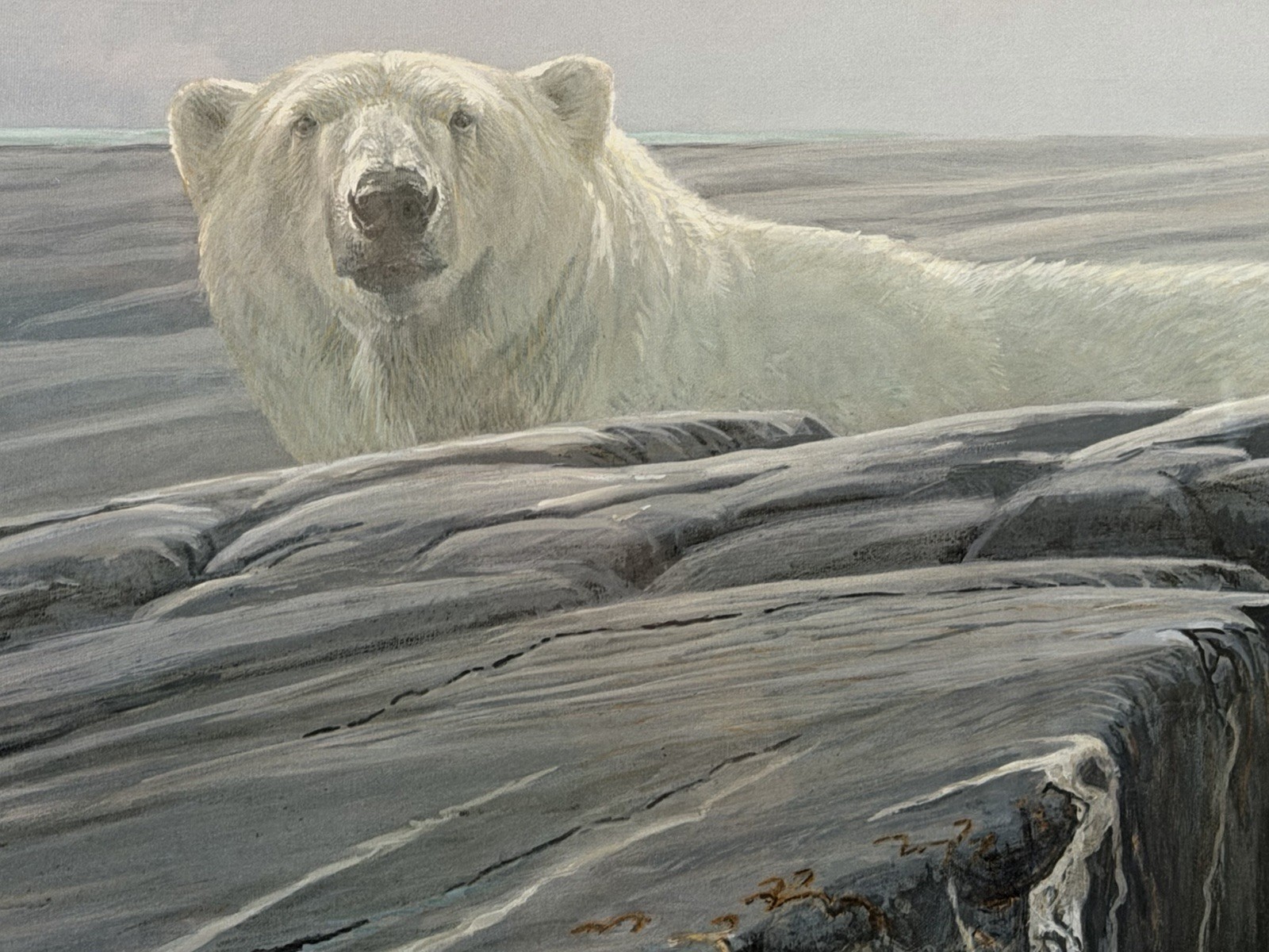 Robert Bateman Arctic Landscape Polar Bear Signed Framed Print 780/5000 COA