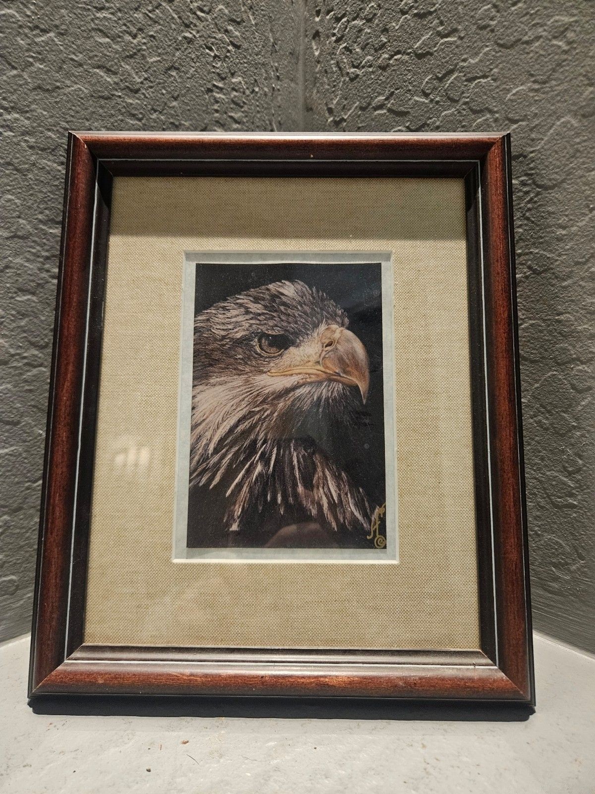 Framed Eagle Signed and Matted Picture 12