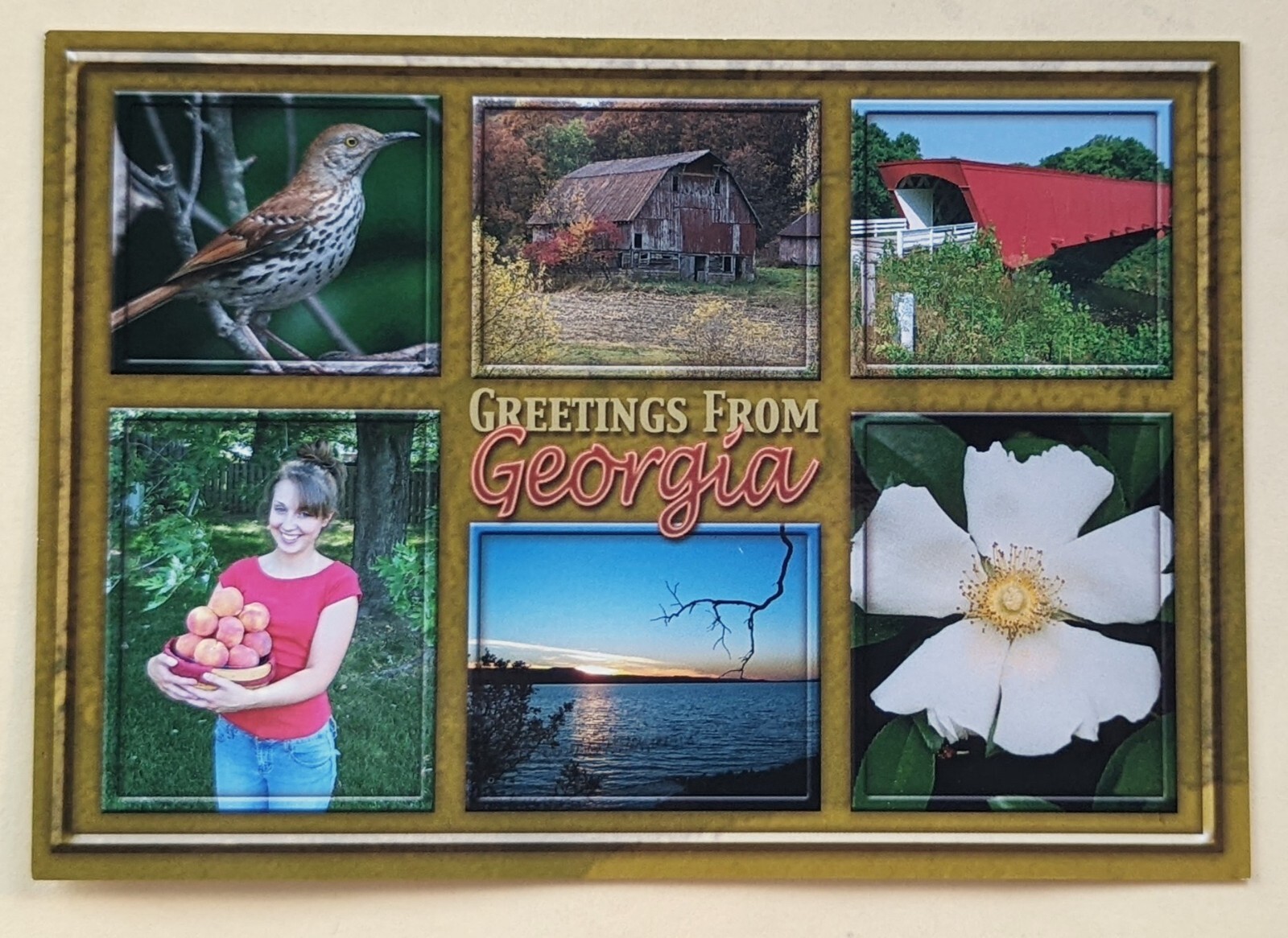 Postcard GA: Greetings from Scenic Georgia Postcard GA: Greetings from Scenic Georgia