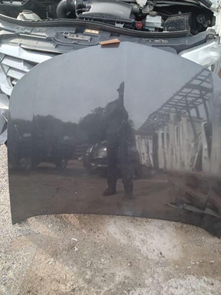 Hood Fits 09-14 TL 201585