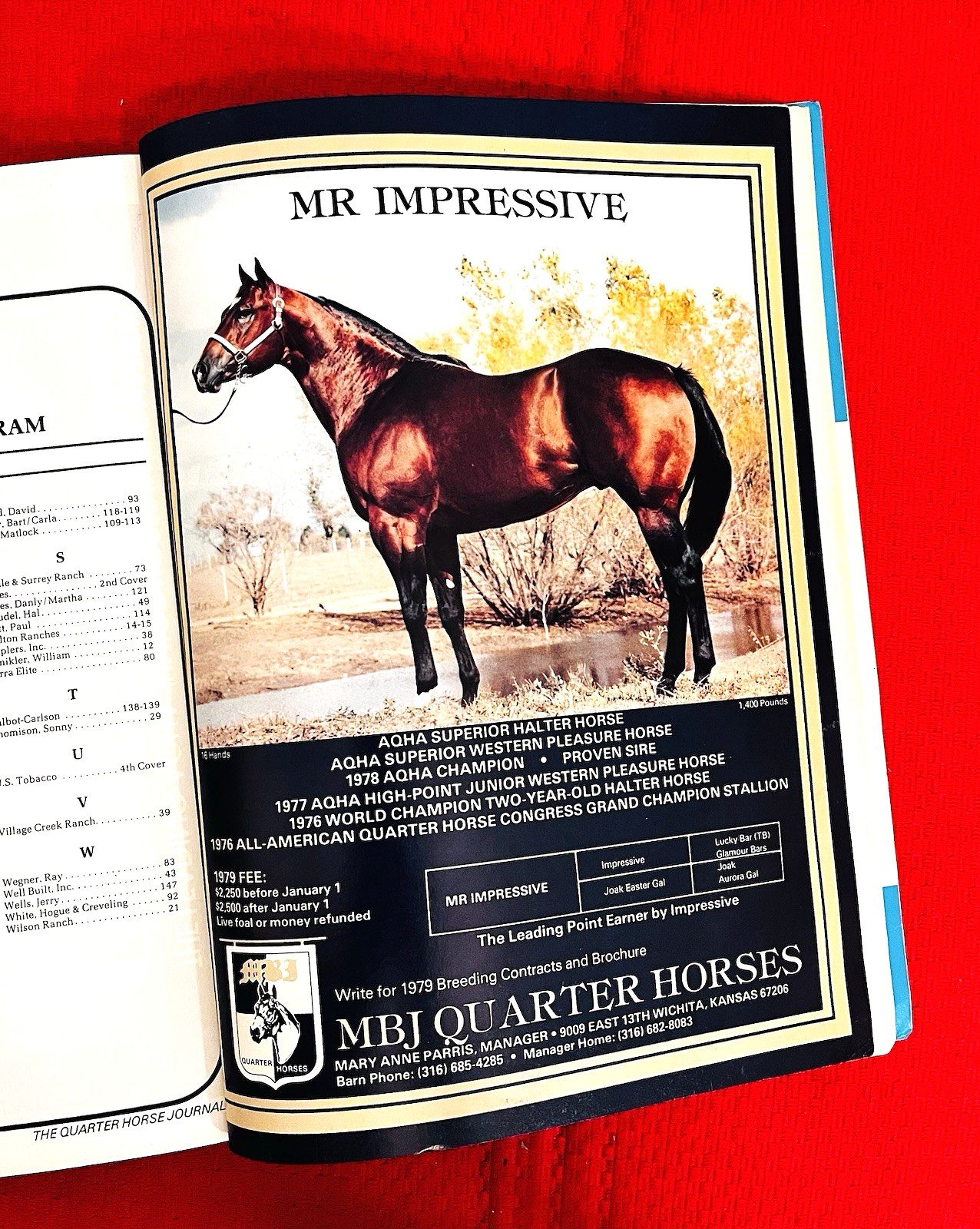 1978 Quarter Horse Journal, Book - WORLD CHAMP ED. - SKIPA STAR - DOCS HOTRODDER