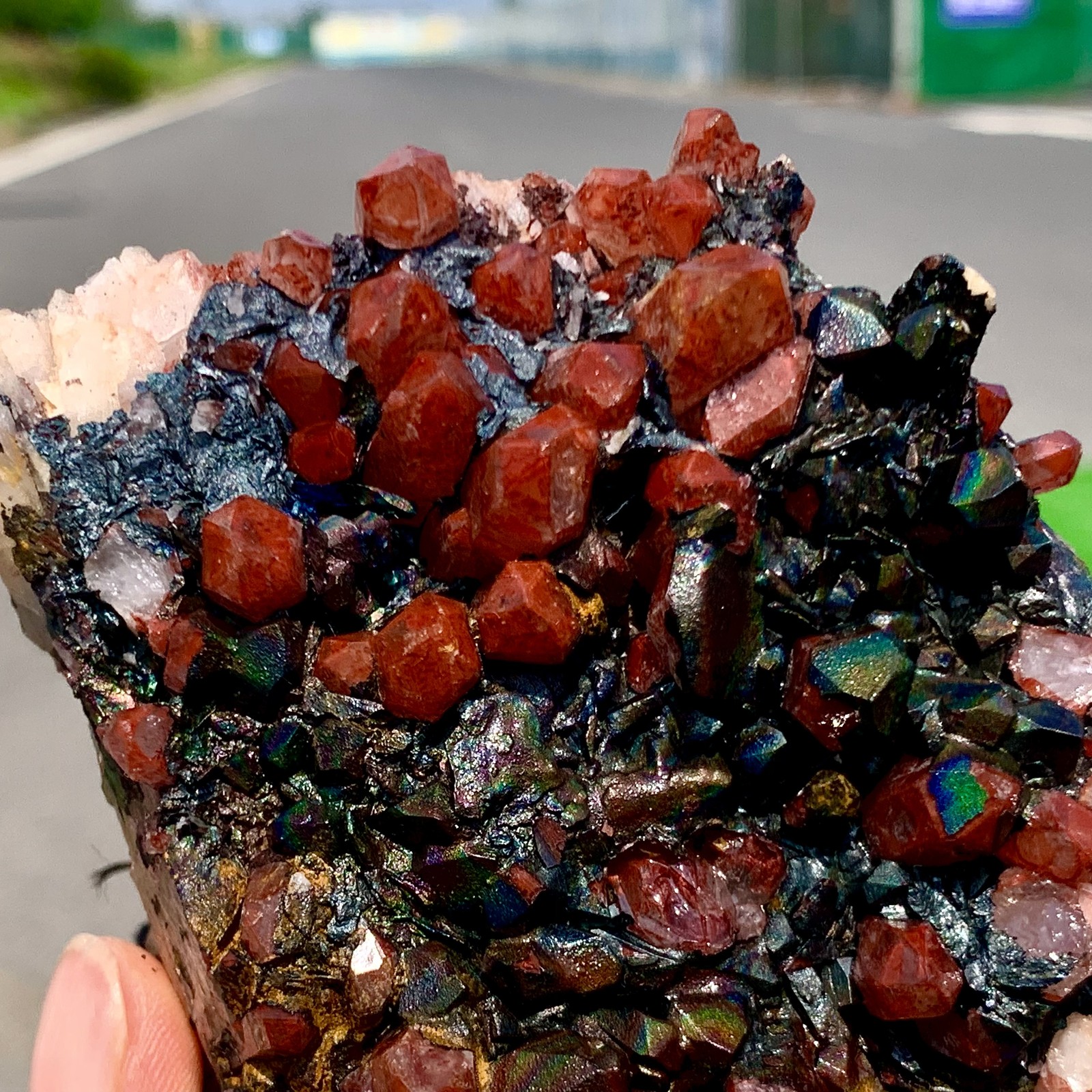 391G Natural  red crystal cluster Symbiosis with black iron mineral specimen