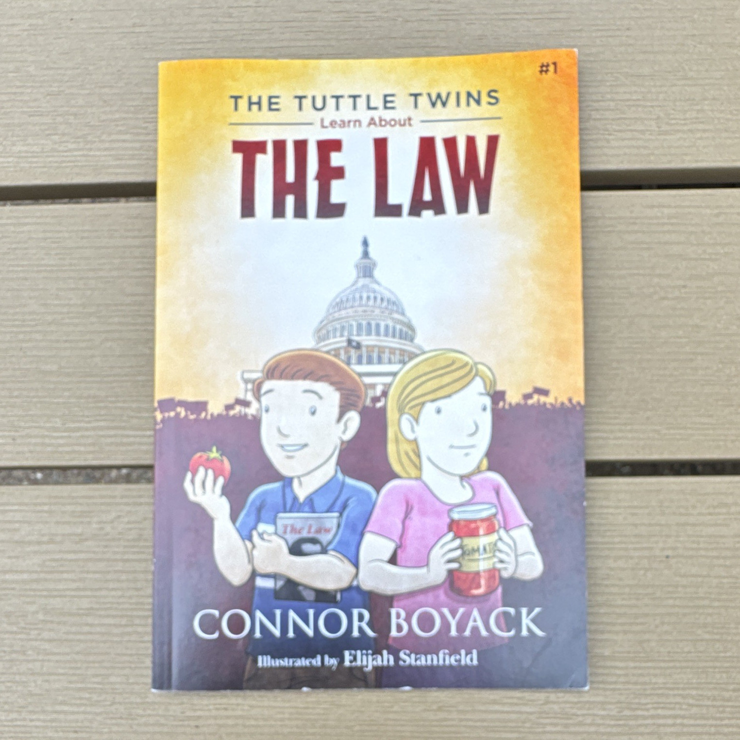 Connor Boyack The Tuttle Twins Learn About the Law PB Illus Ages 4-8