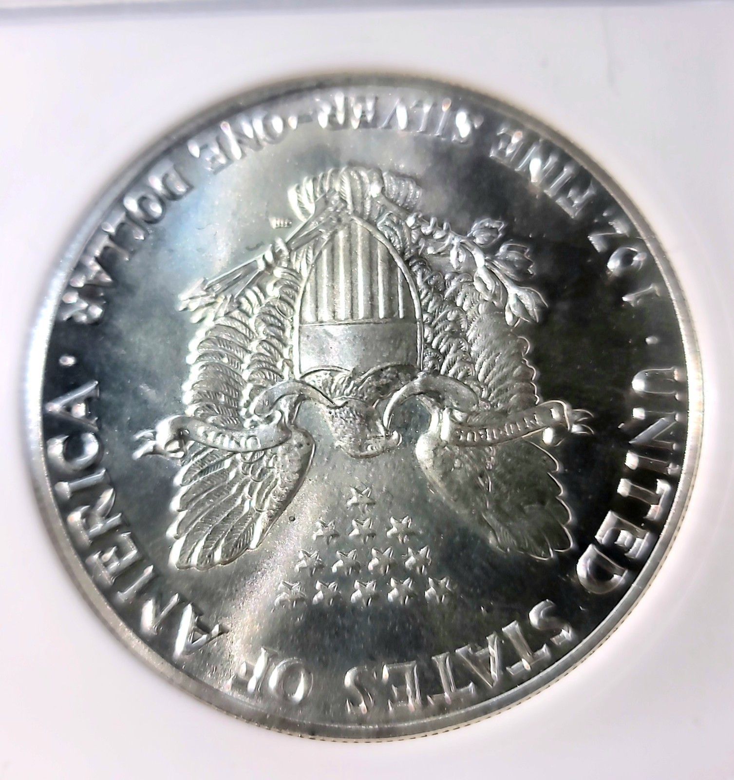 1989  Silver Eagle $1 MS70 Brilliant Uncirculated + Frosty Business Strike