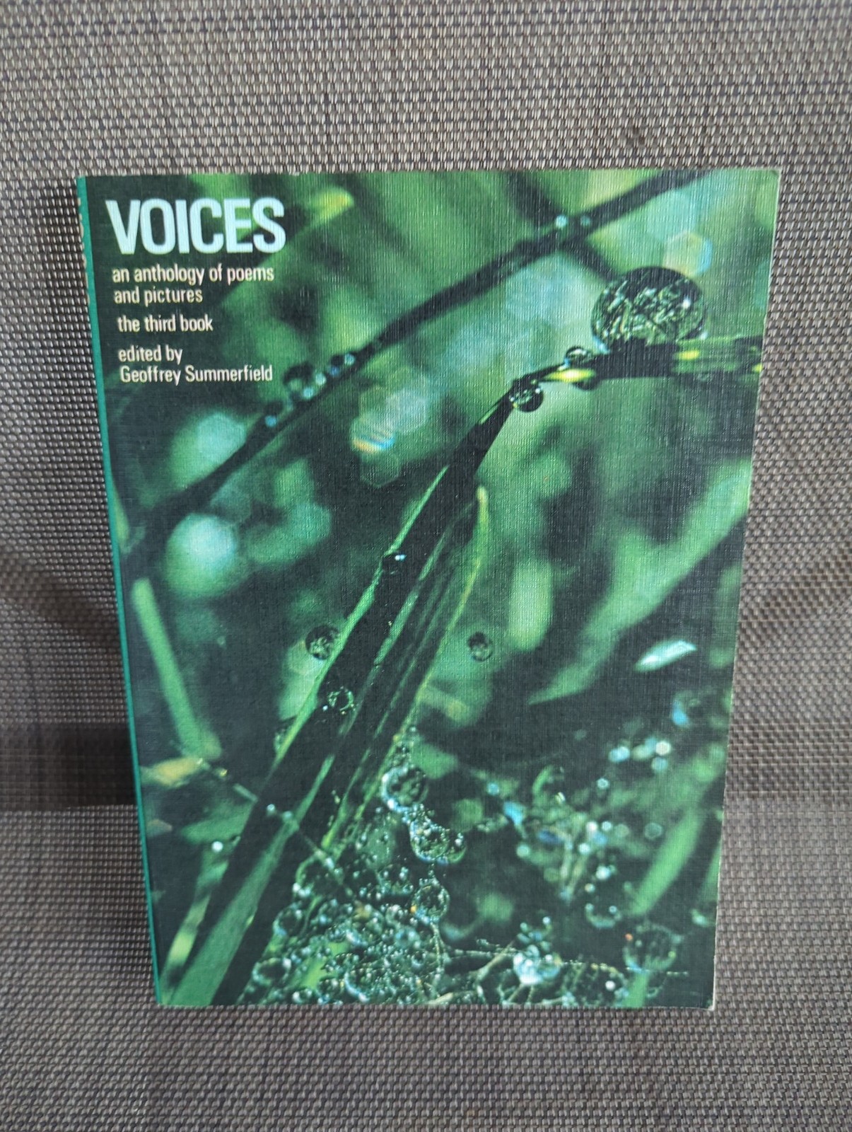 Voices: An Anthology of Poems and Pictures — The Third Book 1969 Voices: An Anthology of Poems and Pictures — The Third Book 1969