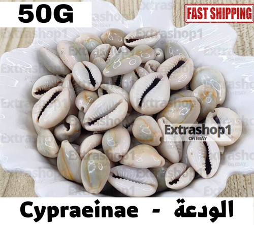 Cypraea Mask Cypraeinae Natural Skin Care Organic Herb Incense الودعة الودع