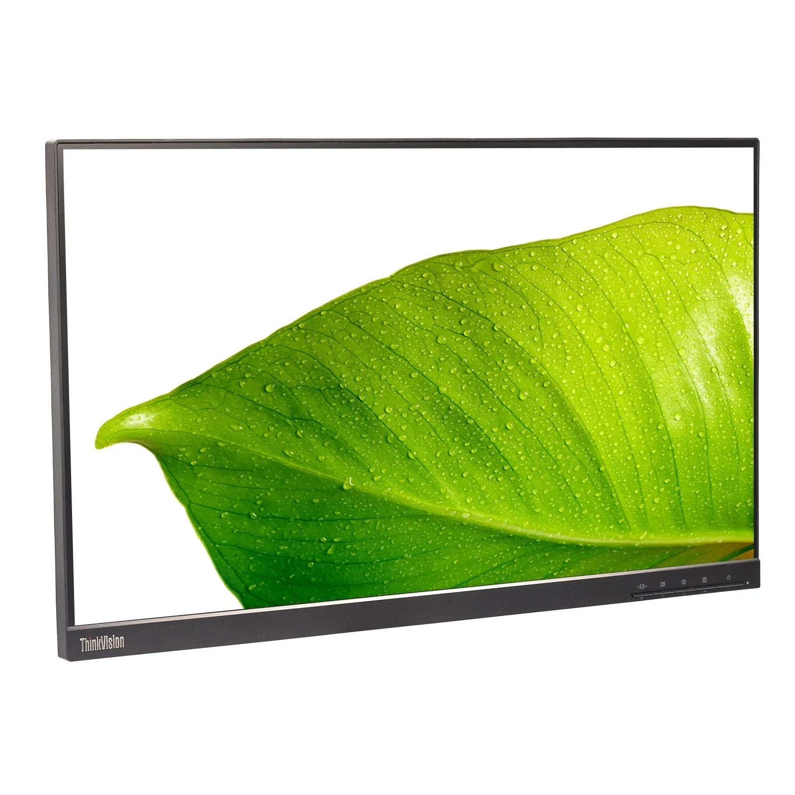 Lenovo ThinkVision T24i-20 24\