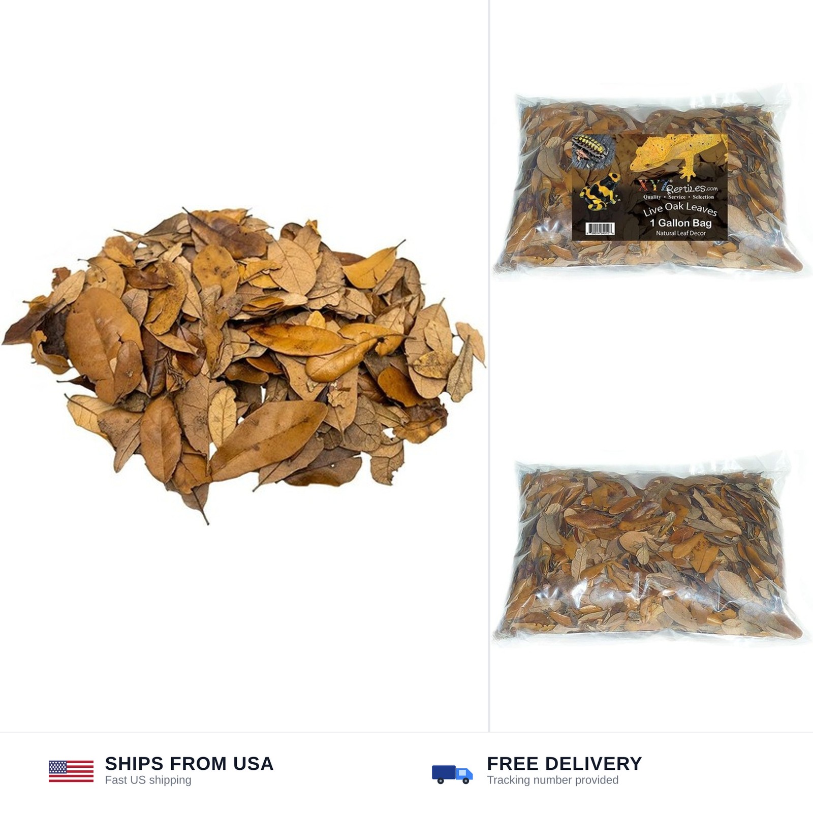 XYZReptiles Premium Live Oak Leaf Litter Isopod Substrate Terrarium Bedding (... XYZReptiles Premium Live Oak Leaf Litter Isopod Substrate Terrarium Bedding (...