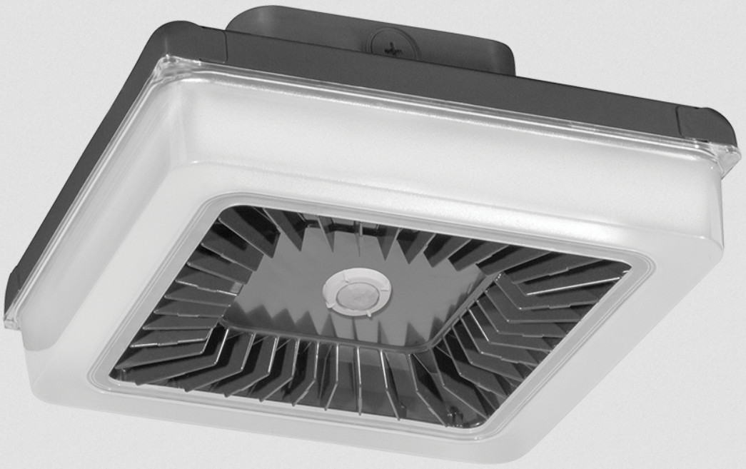 RAB PORTO PRT30/D10/WS 30W 5000K LED Garage/Canopy Light IP66 Bronze