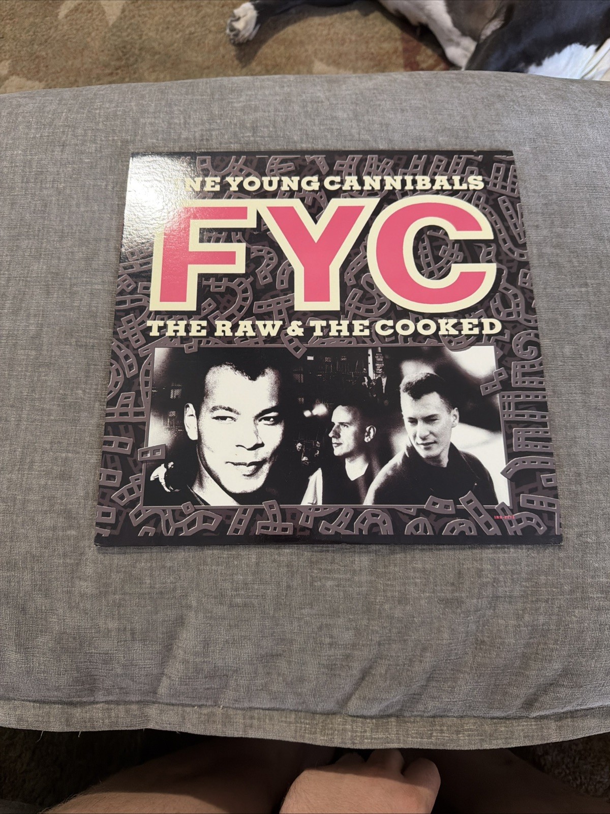 Fine Young Cannibals The Raw & The Cooked LP 1988 IRS-6273 #630 Fine Young Cannibals The Raw & The Cooked LP 1988 IRS-6273 #630