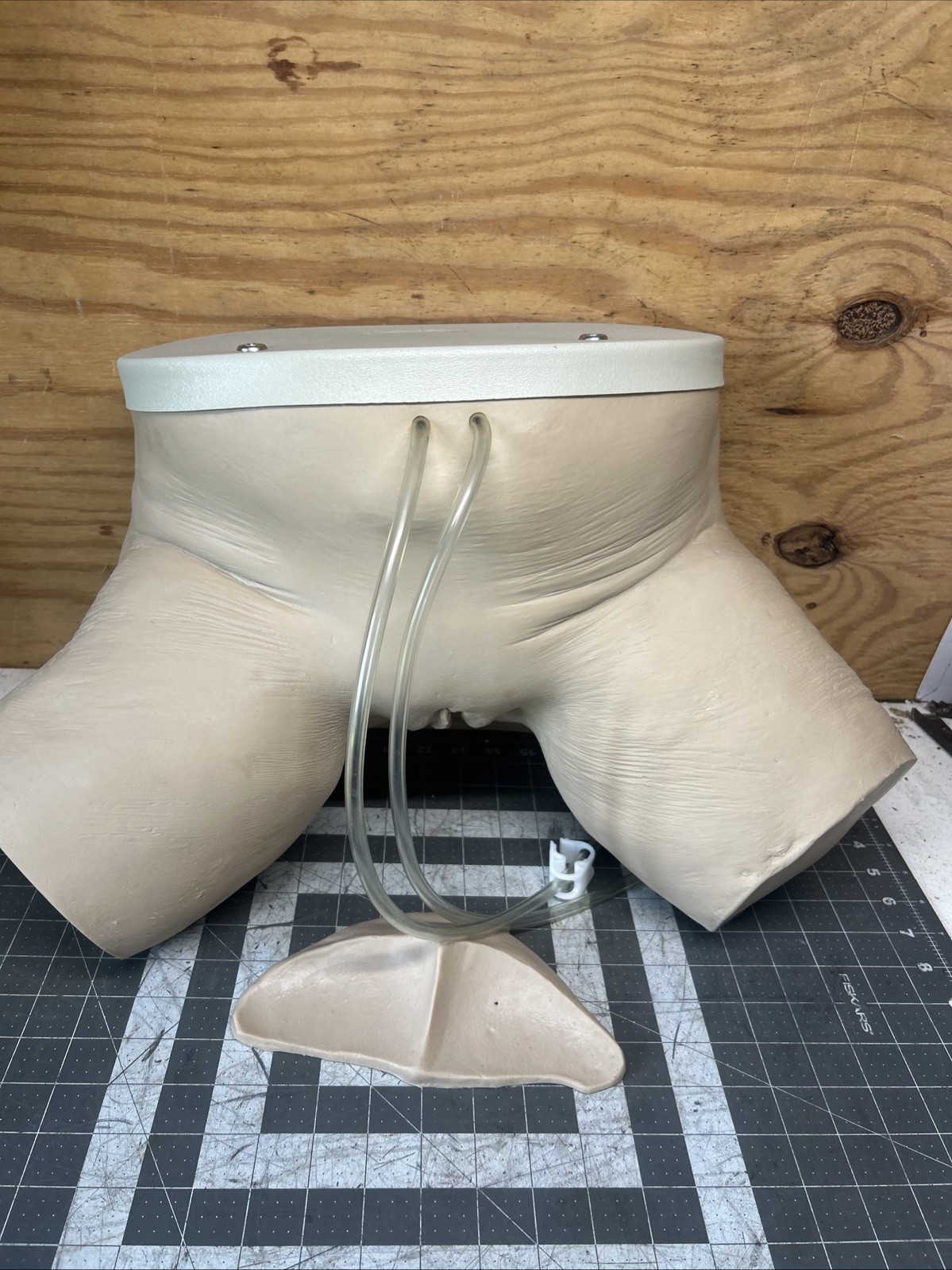 NASCO Life form Female Catheterization Simulator Training LF856 #2
