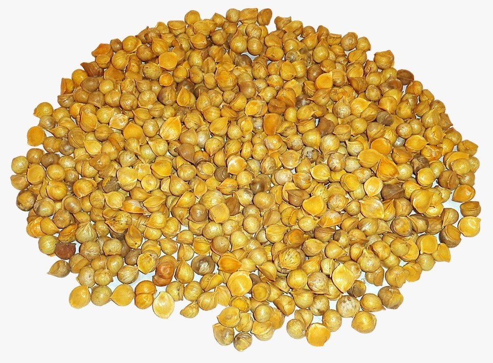 AJO JAPONES (JAPANESE GARLIC) 100% NATURAL 150- PER BAG