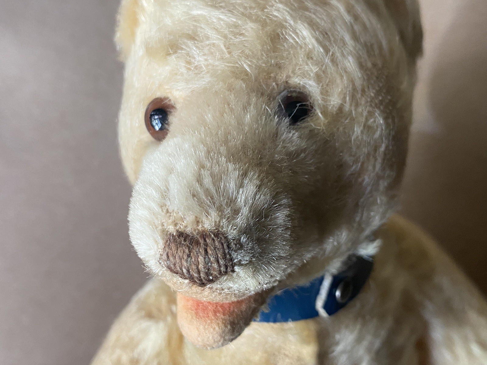 Vtg Steiff Bear 9 Inch Blonde Open Mouth Bell Around Neck Steiff Ear Button
