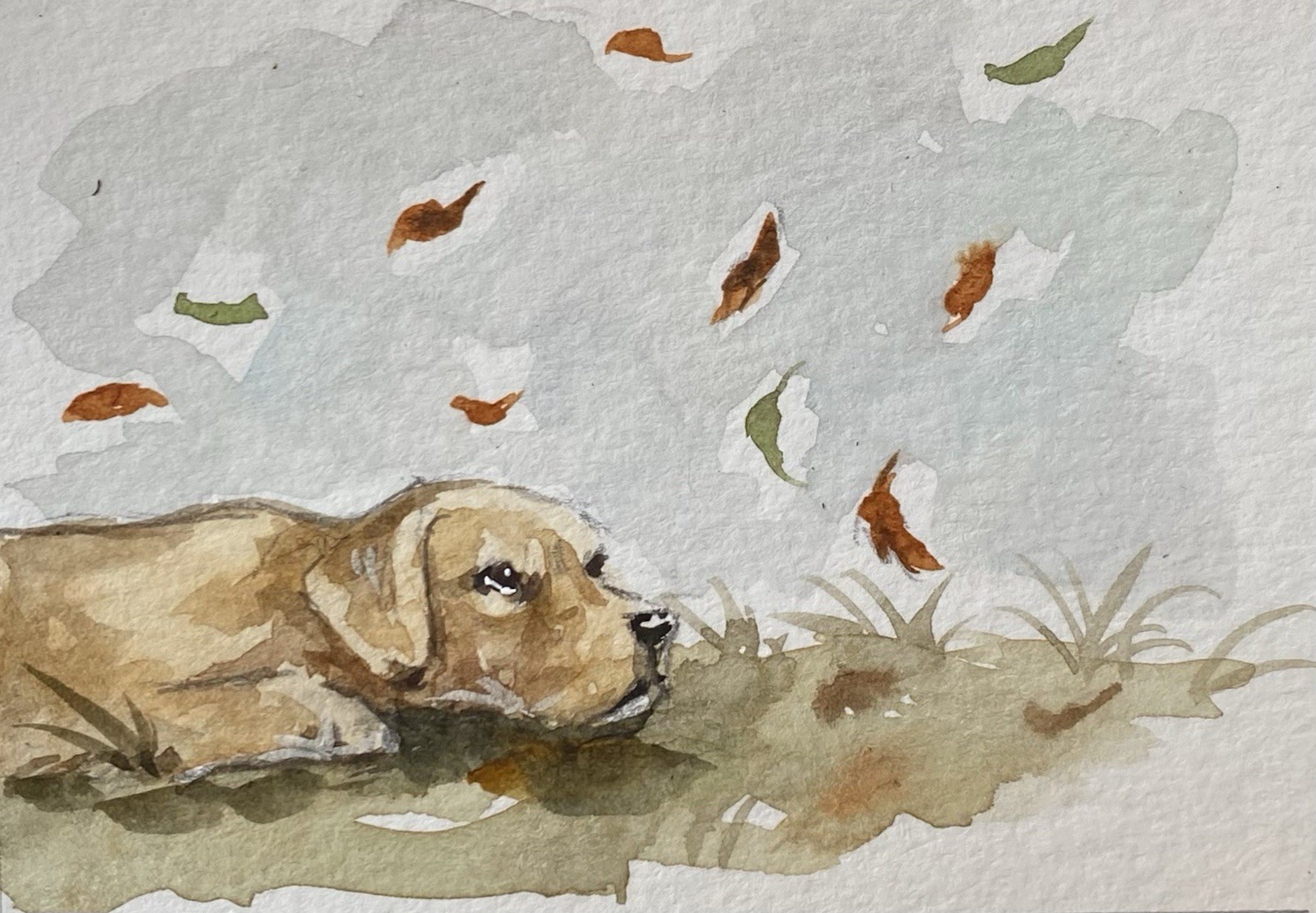 ACEO 100% Hand Painted Original Mixed Media Painting Art Dog