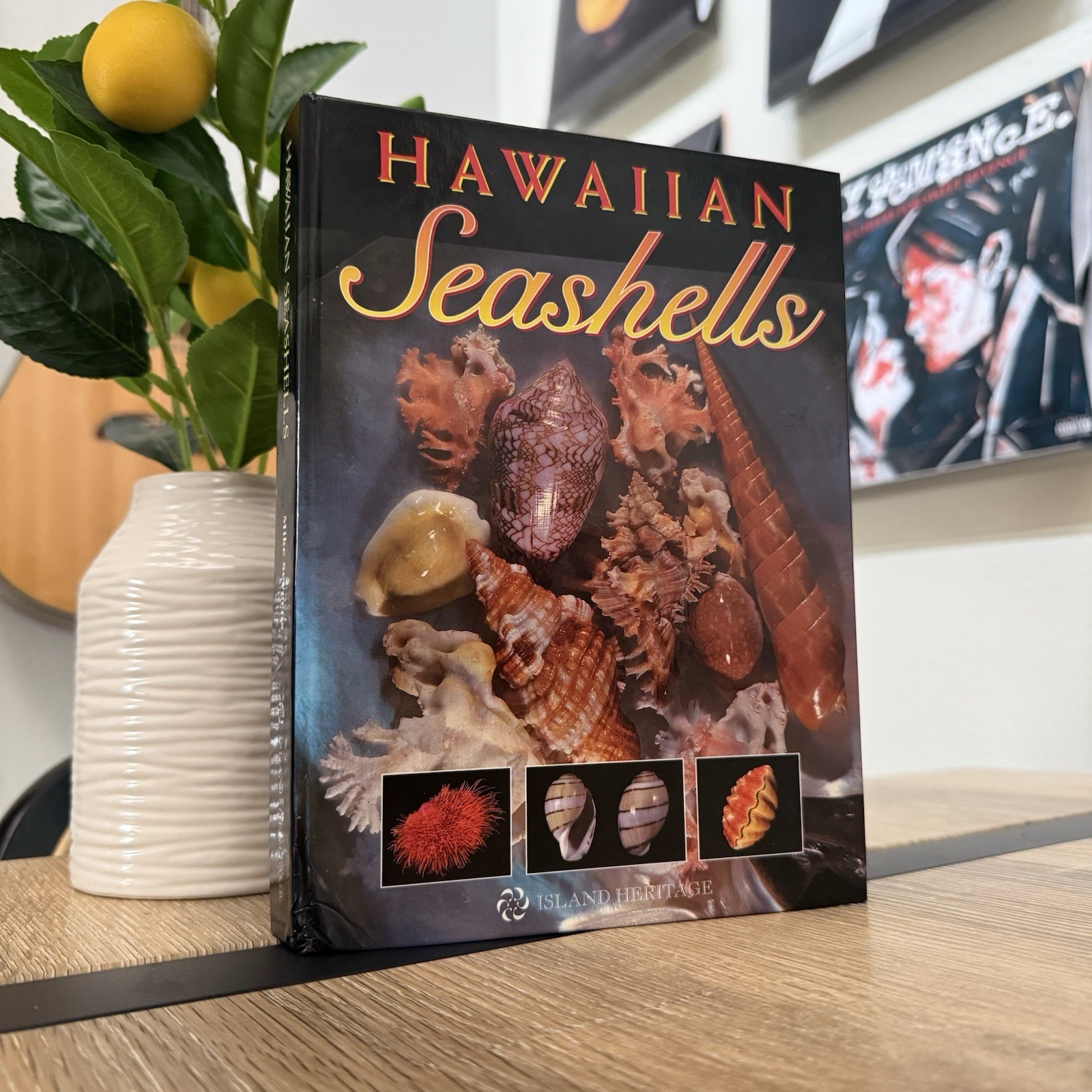 Hawaiian Seashells By Mike Severns — 1st Edition 1st Printing, 2000 — RARE OOP